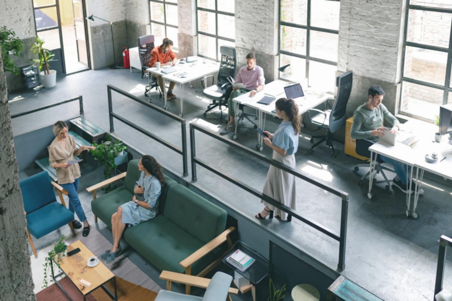 Pulifaa financial planning workspace in Donegal